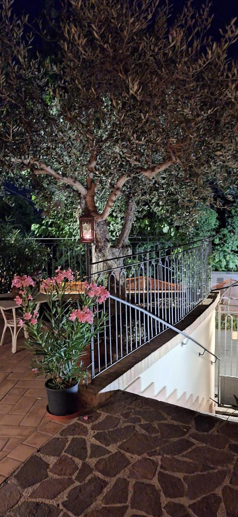 B&B Palazzo Mestichelli Boutique Palace Монтепрандоне Екстериор снимка